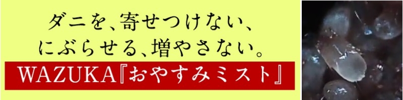 �_�j�΍􃏃Y�J���₷�݃~�X�g���T�C�g